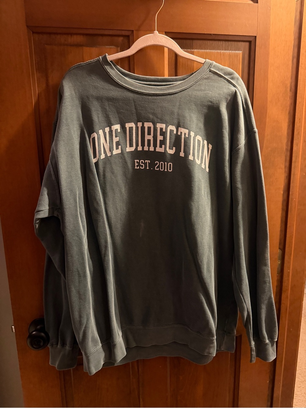 1D Crewneck Sweatshirt in Olive Green